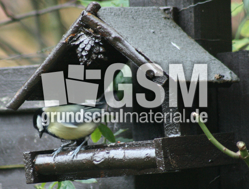 Adventskranz-A Meise-am-Vogelhaus-2.jpg